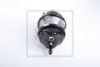 PE Automotive 046.446-00A Spring-loaded Cylinder